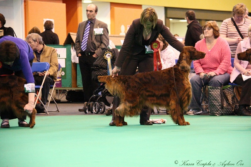 Crufts2011_2 150.jpg